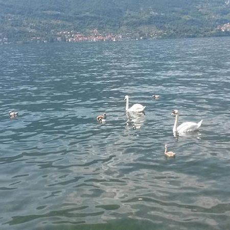 Appartamento Vista Lago - Betta Lezzeno Extérieur photo